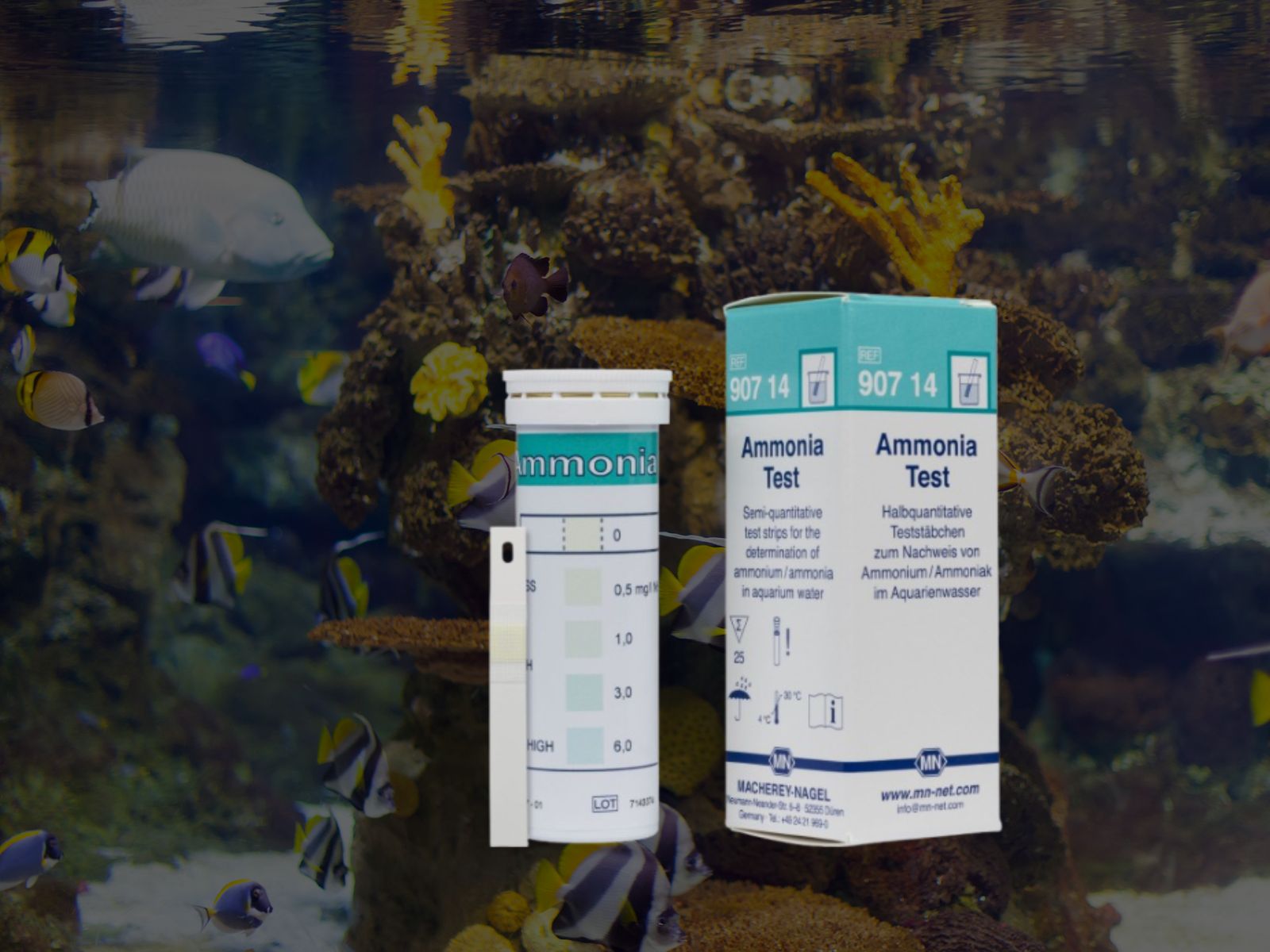 Ammonia Test Strips: Fast, Reliable and Essential for Aquarium Water Health