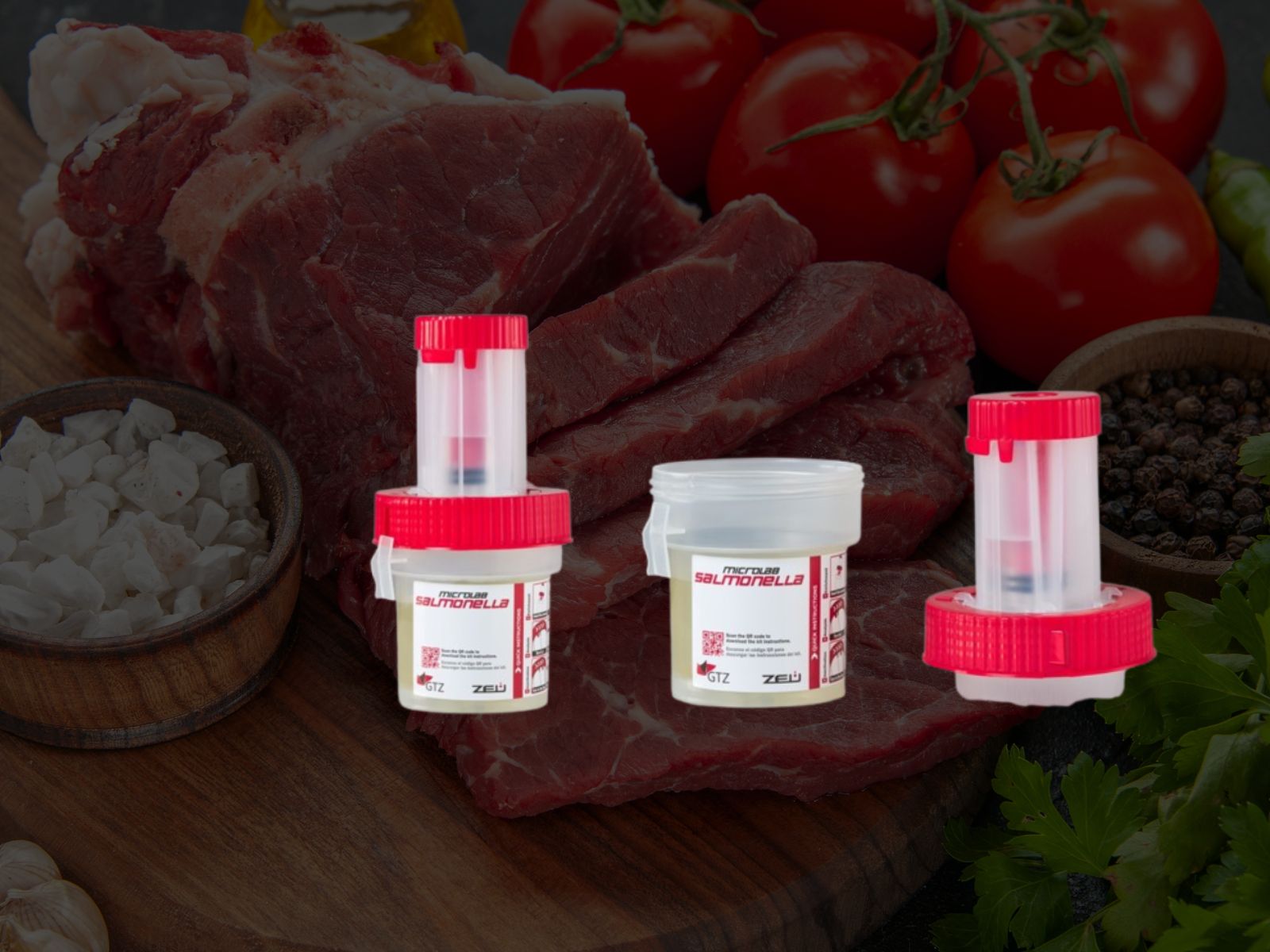Salmonella Testing in Food Processing: A Safer, Smarter Approach with MicroLab